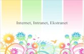 3. internet-intranet-ekstranet
