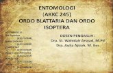 PPT Entomologi blattaria dan isoptera