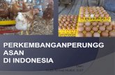 Perunggasan di indonesia MK Akom Bondowoso