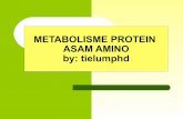Metabolisme protein  asam amino 12 (2)