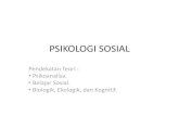 Psikologi sosial   pendekatan beberapa teori