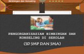 Pengorganisasian Bimbingan dan Konseling di Sekolah (SD, SMP dan SMA)