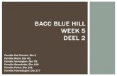 Bacc Blue Hill week 5 deel 2