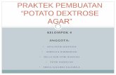 Praktek Pembuatan Potato Dextrose Agar (PDA)