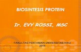 Biosintesis Protein