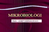 Mikrobiologi part 1