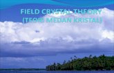 Field crystal theory