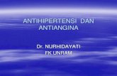 Antihipertensi dan antiangina revisi