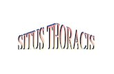 Situs thoracis(anat 123) SEMESTER 2 kd 2 anatomy