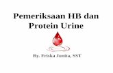 Pemeriksaan hb dan protein urine