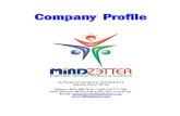 Company  profile mindzetter 2014