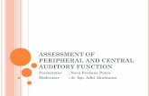 Assessment of peripheral and central auditory function nova