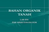 BAHAN ORGANIK TANAH