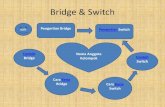 Bridge & switch