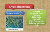12 ciri khusus cyanobacteria