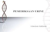 ppt persentaion Pemeriksaan urine