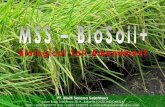MSS BioSoil+ (my_dea@yahoo.com)