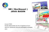 NE ( Northeast ) java basin