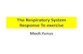 respirasi system response to exercise