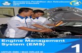 Engine management system - Ototronik SMK