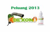 Presentasi dexon1 peluang 2013