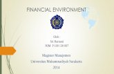 Financial environment