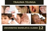 TRAUMA TELINGA (Ear Trauma)