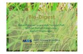 Bio Digest (Decomposer)