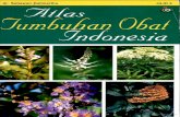 Atlas Tumbuhan Obat Indonesia jilid 2