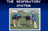 Respiratory Xi Reg