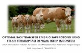 Optimalisasi embrio transfer sapi potong yang telah teradaptasi