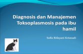 Diagnosis dan manajemen toksoplasmosis pada ibu hamil