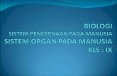 Soal biologi un 2012 skl no.29 sistem pencernaan
