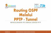 MikroTik Routing OSPF over PPTP Tunnel