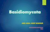 Taksonomi basidiomycota