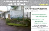 Magang BPPTPH Ngipiksari Sleman Yogyakarta