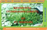 Bryophyta2012 1-121216092016-phpapp01