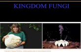 Presentasi fungi
