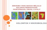 Presentasi mikrobiologi