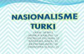 Nasionalisme Turki