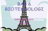 Kelompok tulip kelas 9I SMPN 264 Jakarta " BIOTENOLOGI Bab 6 "