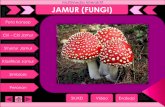Multimedia Interaktif Jamur (Fungi)