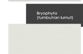 Bryopsida (BIOLOGI KLS 10)