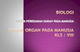 Soal biologi un 2012 skl no.28 sistem peredaran darah