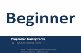 Belajar Trading forex beginner