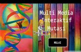 Multi Media Interaktif pembelajaran Mutasi - Biologi