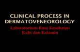 Clinical process dermatoveneorology