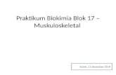 Praktikum biokimia blok 17 Muskuloskeletal