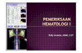 Pemeriksaan hematologi (darah rutin)