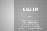 Tentang enzim